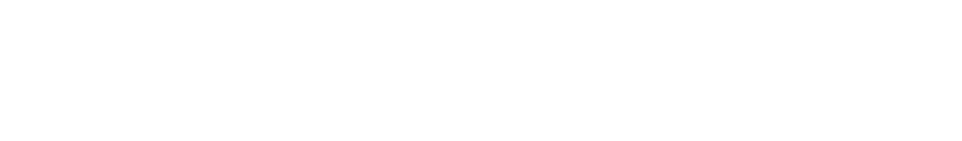 Lightchain Logo